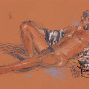 Estudio de Indie, Original Art (copia)